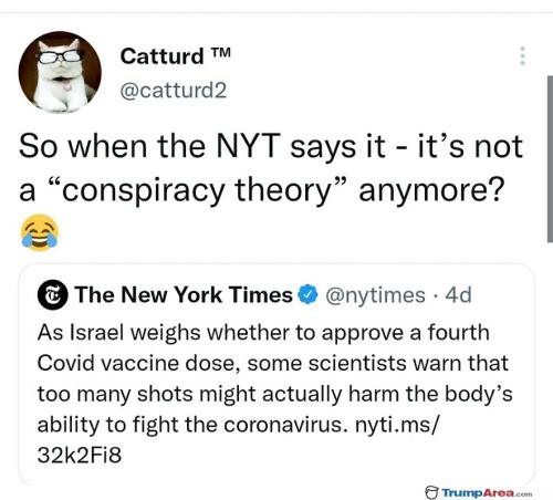 NYTSays03