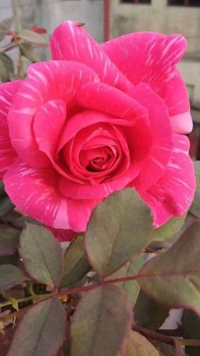 09:35:47 GMT-0600 (CST)