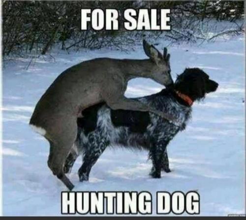 Screenshot_20220120-181628_MeWe_181299664022504