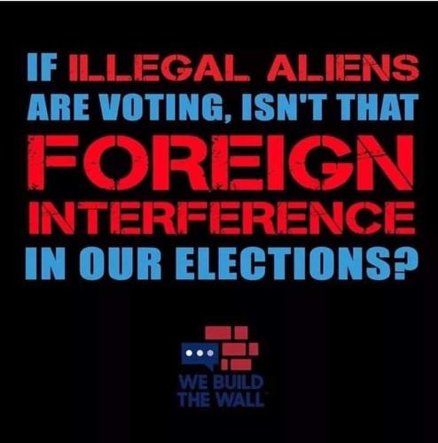 illegal votes f