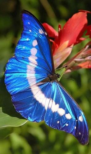 10:14:01 GMT-0600 (CST)