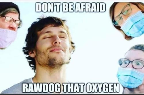 273122596_380580640407750_2903223471352931411_n