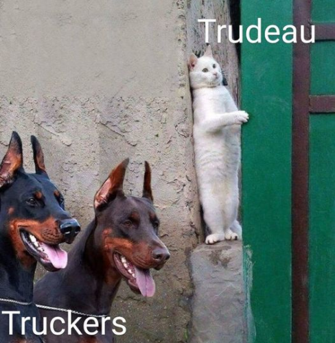 trudeau