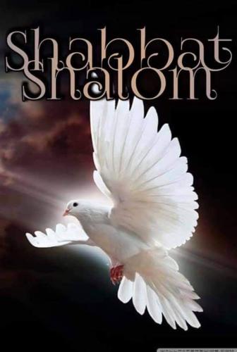 19:07:41 GMT-0800 (PST)