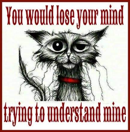 FB_IMG_1641998897046