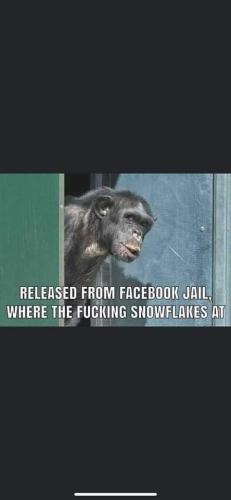FB_IMG_1643227829283