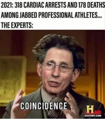 FB_IMG_1642378862677