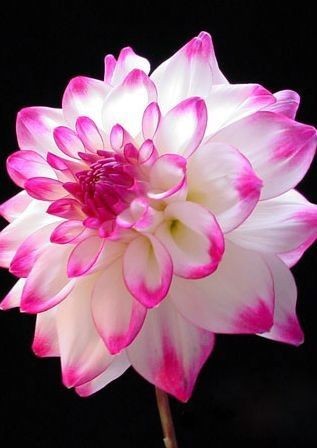 08:58:04 GMT-0600 (CST)