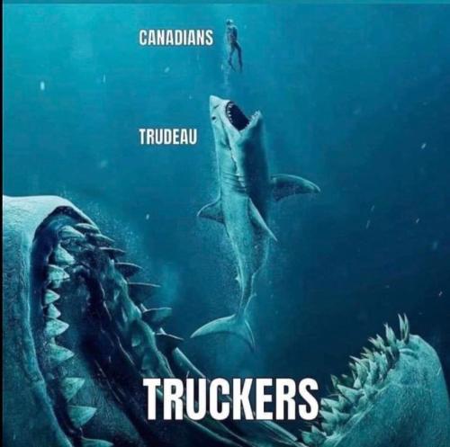 272625629_5059139660786542_2181270136578603654_n