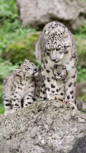 272329900_1750814551784554_6805412350867814795_n