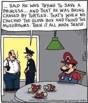 image_1643650202.083