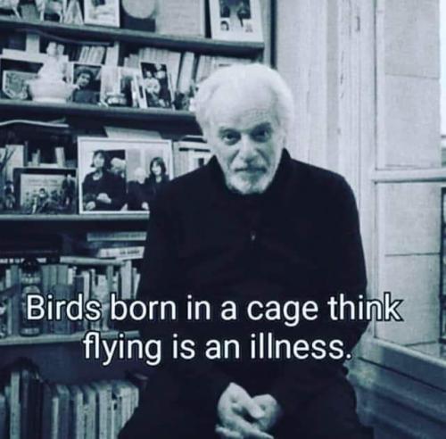 22:57:23 GMT-0600 (CST)