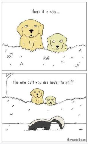 FB_IMG_1641321077466