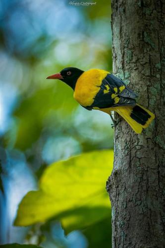 271124375_4710739662328992_4209406938967526332_n