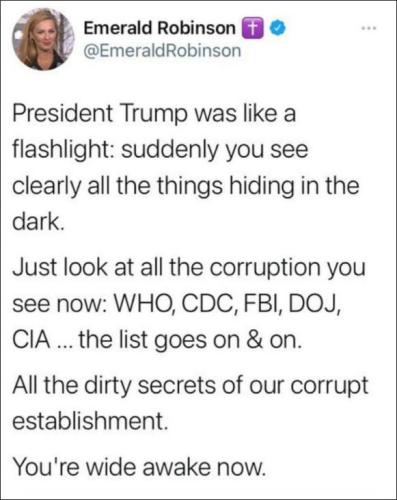 ztrump282