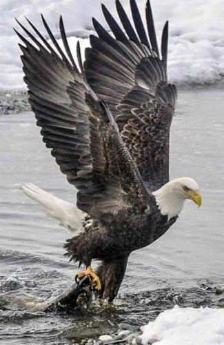 FB_IMG_1642644540192