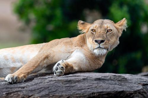 272464875_458925795682344_2455343829995313018_n