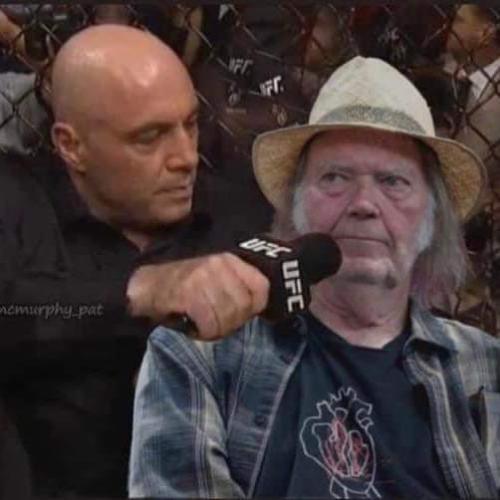 FB_IMG_1643321443639