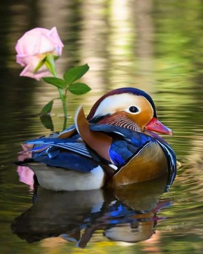 271133648_485961266240885_308131499896723828_n