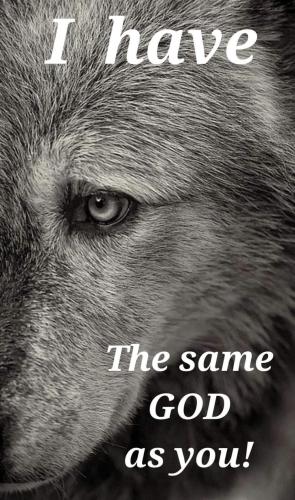 FB_IMG_1642818677388