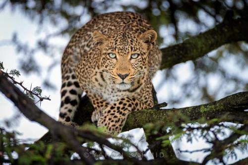 270304357_450602776514646_977997164351311509_n