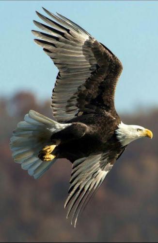 272433791_1750814328451243_7155979905798207001_n