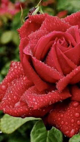 14:28:23 GMT-0600 (CST)