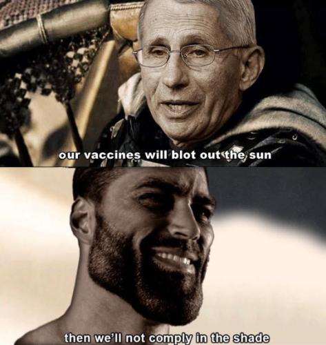 vaccine527