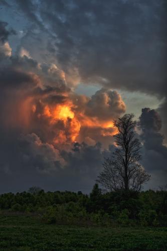 19:04:30 GMT-0600 (CST)