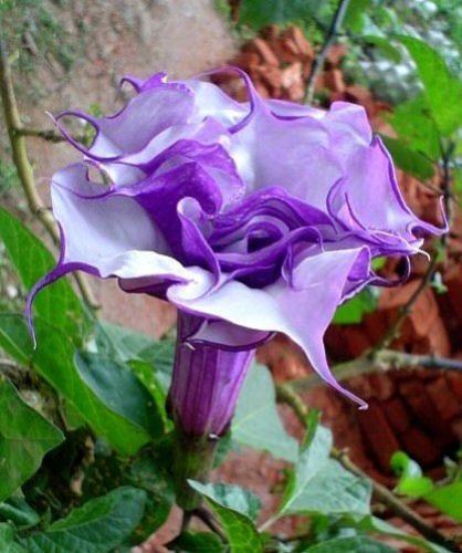 19:02:46 GMT-0600 (CST)