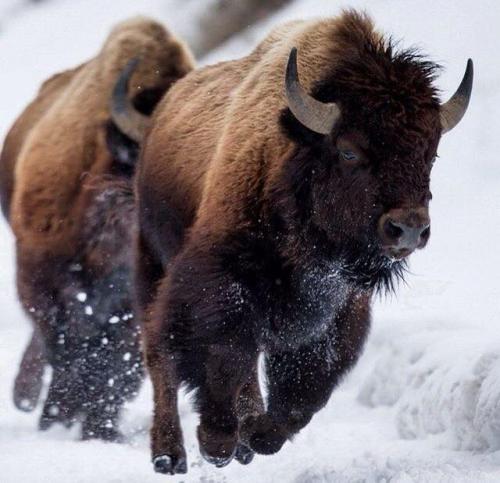 271658302_1740682466131096_5947831559810929682_n