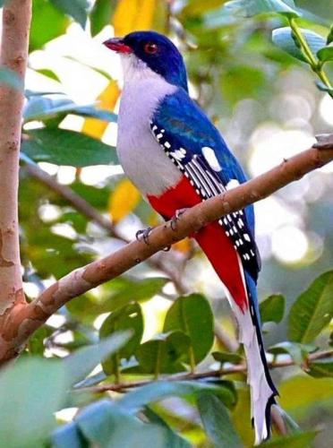 19:07:11 GMT-0600 (CST)