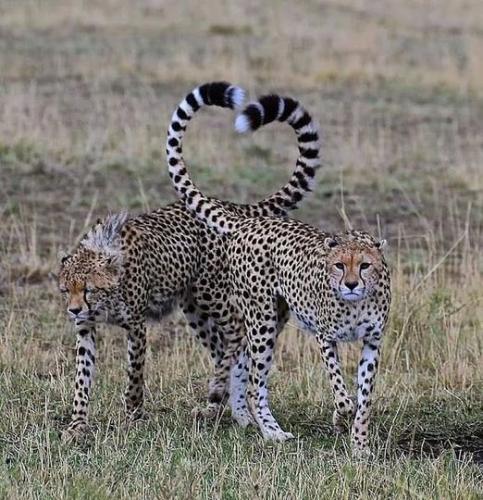 271278692_487791909391154_6961390502546018656_n