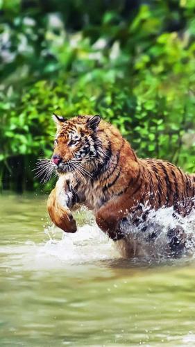 271775470_1744821999050476_281974455514103604_n