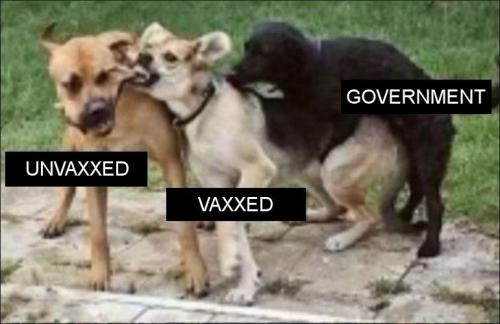 unvaxxed26
