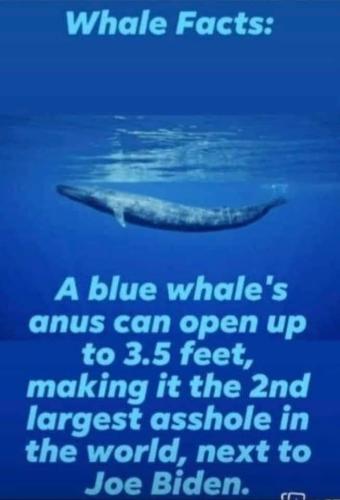 FB_IMG_1643090255349