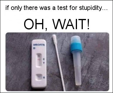 if only there was a test for stupidity