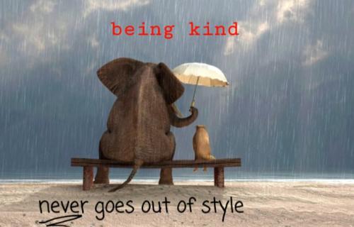 Screenshot_20220119-055032_DuckDuckGo