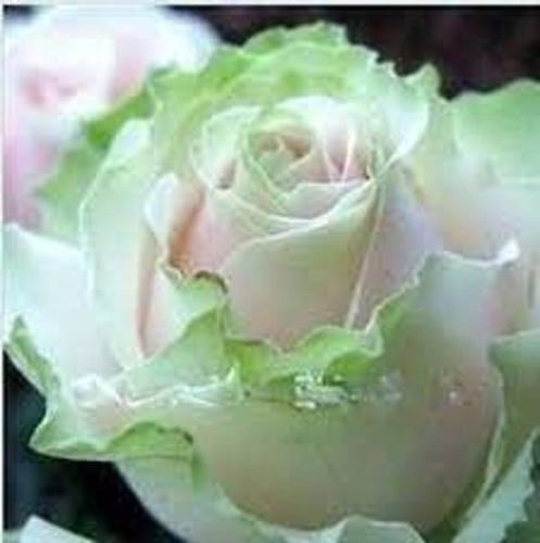 13:20:33 GMT-0600 (CST)