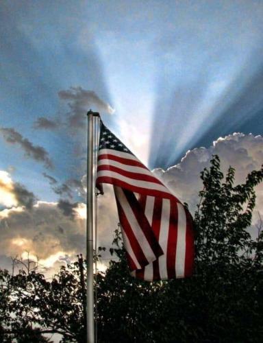 tiny-683-2021-06-01-23-29-37