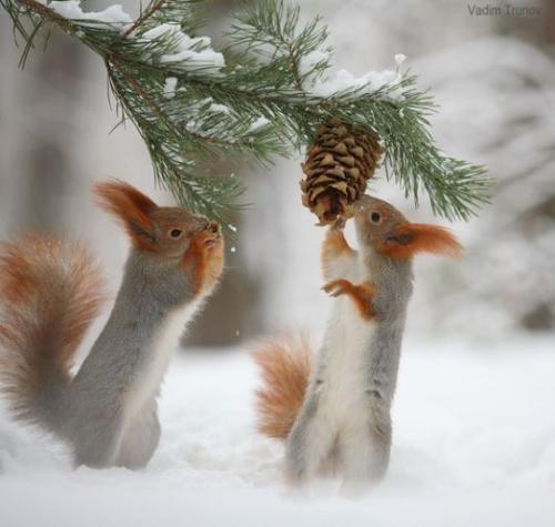 tumblr_ec841e44a6a88154d9e0aed5deca5b9e_67ccd45c_540