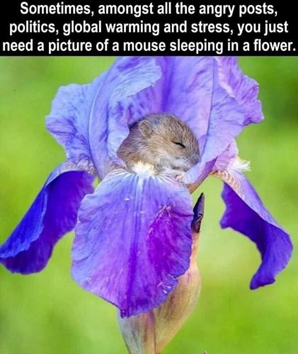 271976348_634935204323369_1353943003443689942_n