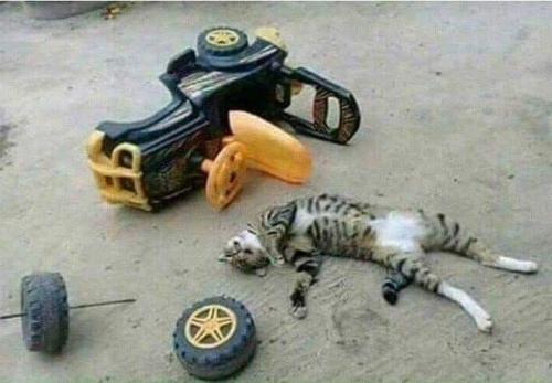 FB_IMG_1643218308220
