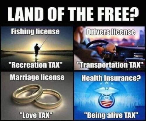 taxes31