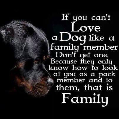 09:03:58 GMT-0600 (CST).image