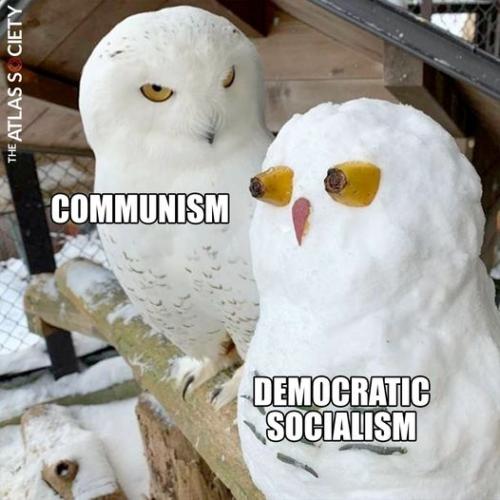 271601379_10159767489455351_1070551841903894806_n