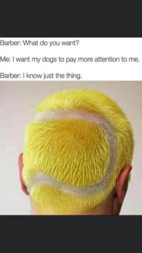 271732601_7053412394699416_1175936921264888427_n