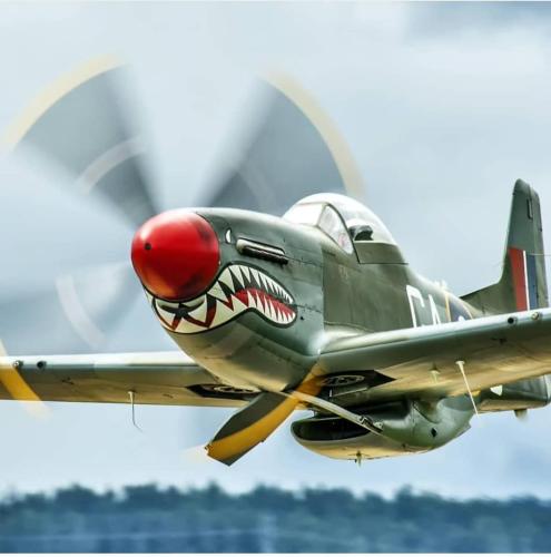 271781345_477011817114900_2755378805301750140_n