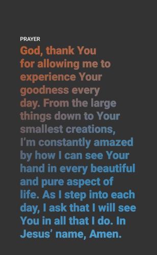 19:49:02 GMT-0600 (CST)