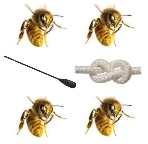 FB_IMG_1643130846164